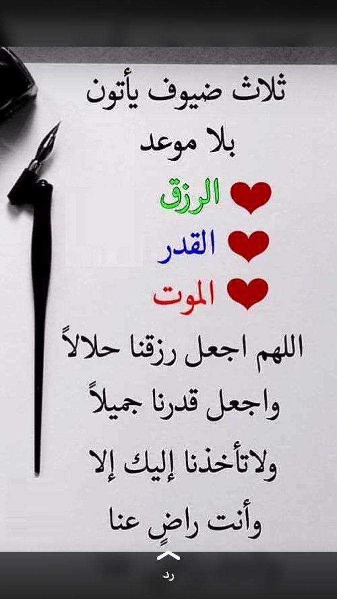 شموخ العز. tweet media