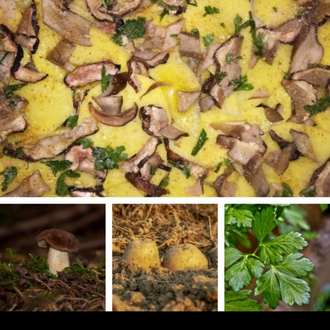 carAle93's tweet photo. #cucina #Cooking #hungry #Fungi https://t.co/cvqkX5rrNh
