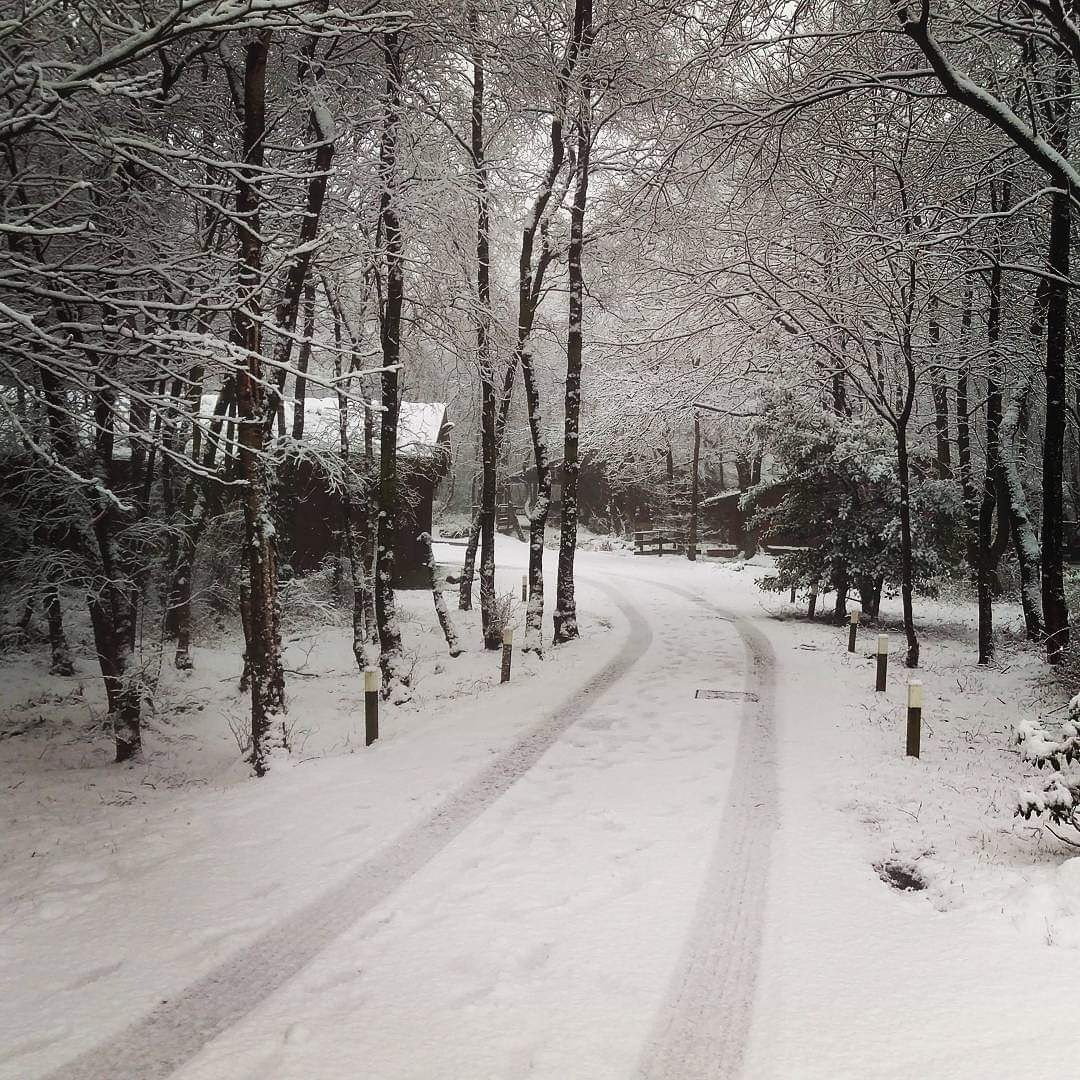 3 years ago today...Winter Wonderland ⛄❄ #chevin #snow #lodges #beautiful