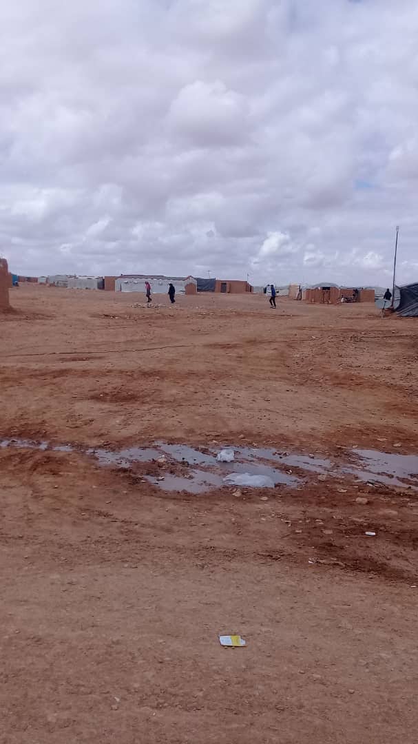 simonajeger's tweet photo. Final call to save people in #Rukban. Notorious green buses are arriving. Everyone who has been following #Syria knows what this means. No more words, just panic and despair.
#RukbanToNorthSyria #WorldFailure https://t.co/vnehOa5sbK