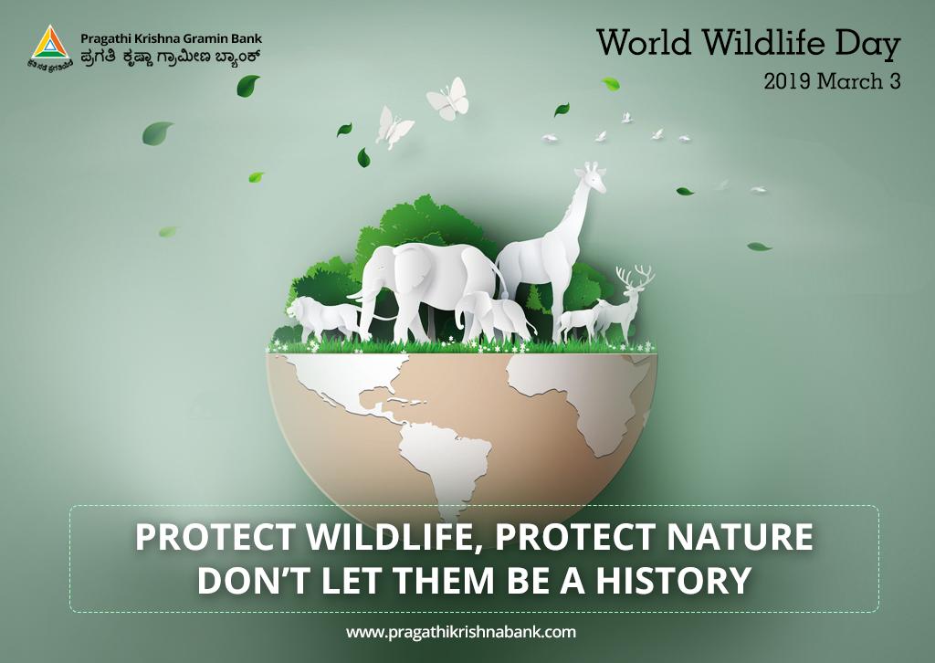 pkgbank's tweet photo. Protect wildlife,
Protect nature.
Don’t let them be a history.
World Wildlife Day 2019
.
.
#pkgb #pragathikrishnagraminbank #worldwildlifeday2019 #protectwildlife #protectnature #doyourduty #india #karnataka #bellary #bengaluru https://t.co/UJmaSvQgDS