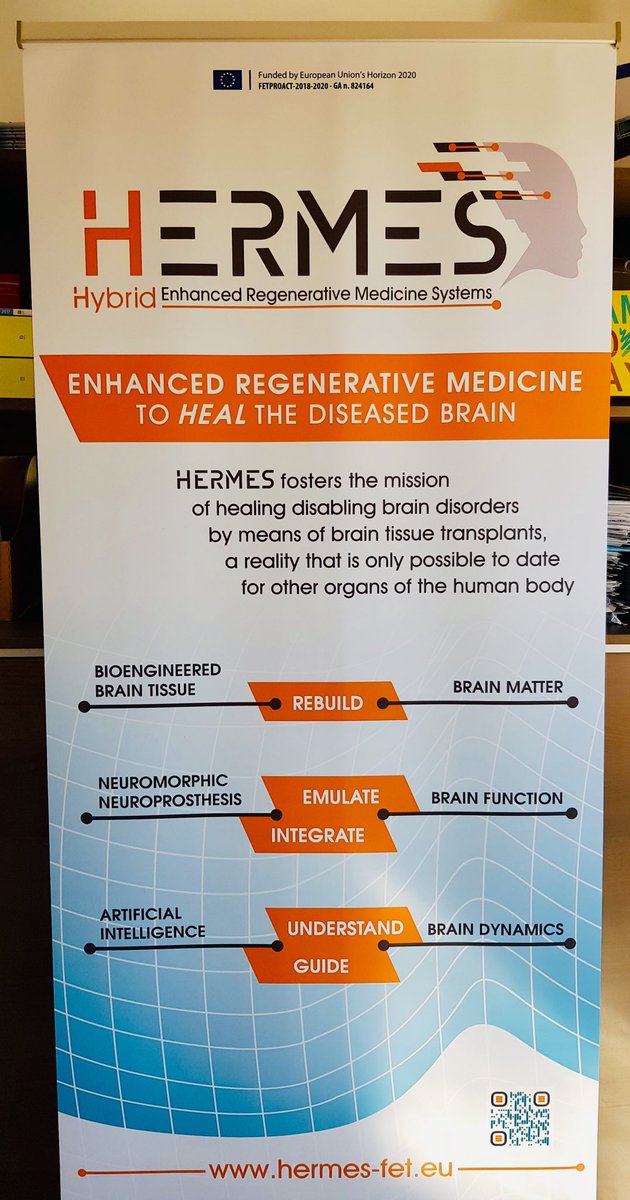 HERMES-FET tweet media