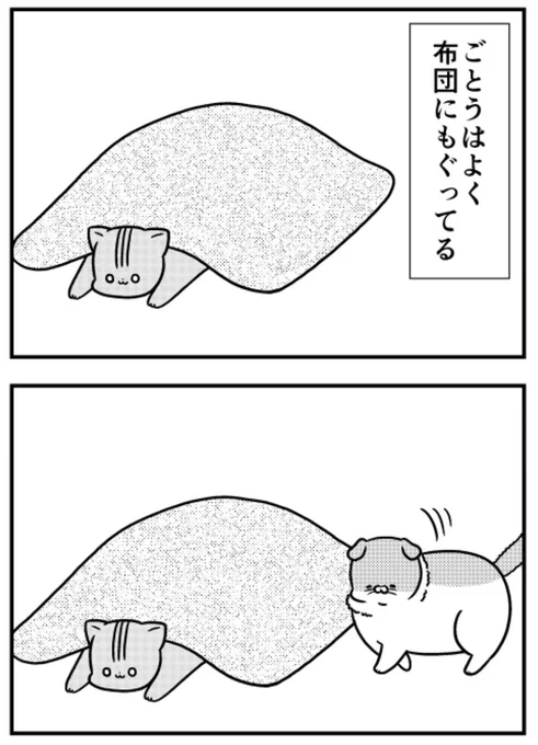 猫のきにゃと、ごとうさん(204) ただいるだけなのに  #マイナビニュース 
