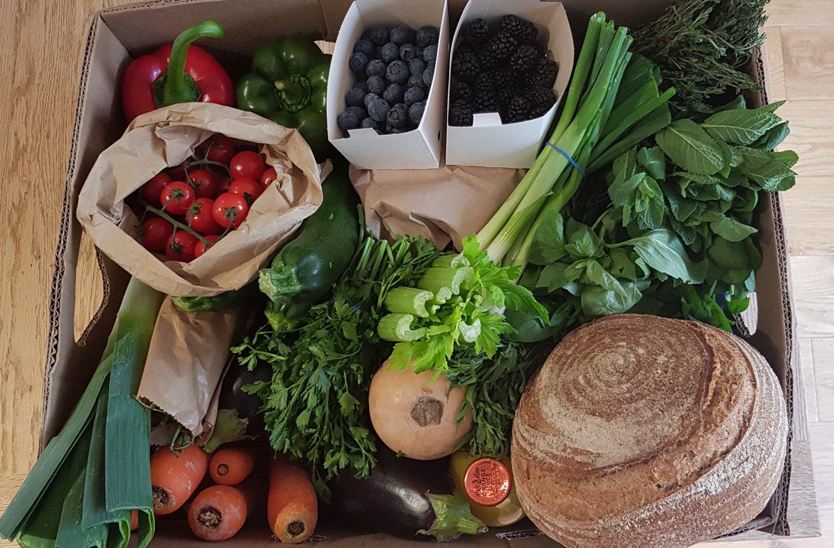 gardeningtodo's tweet photo. After a month of travelling and having the lurgy, I am planning a gentle weekend of cooking & podcasts. Big Thanks to @VeryGreenGrocer and this amazingly beautiful & plastic free veg box delivered this morning 👍👏😊. #supportlocal #plasticfree #lotsofwashingup https://t.co/BHA9gKL23C