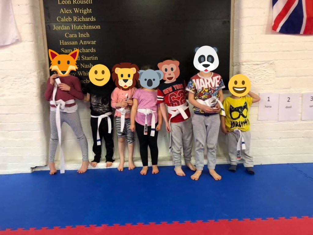 PhantomTigerTKD's tweet photo. Our tykes team got new stripes on their belts this week! https://t.co/2Gr1bHqwE9