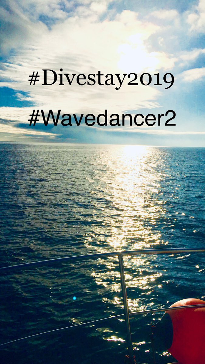 divestay's tweet image. Spring dives 5m vis and a cracking day before storm fray arrives #scubadiving #divestay #eyemouth