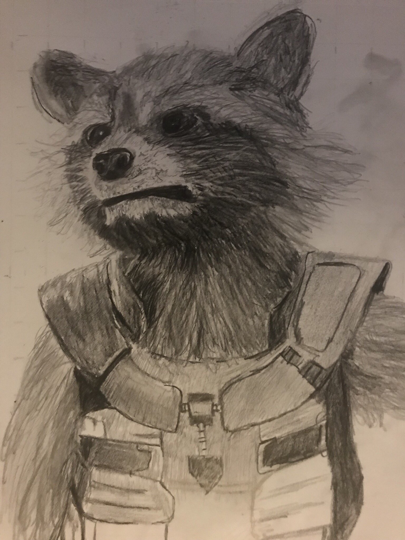 Ракун Rocket