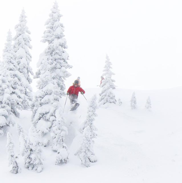 SteamboatCO's tweet photo. You could say we're having a great snow year in Steamboat. 📸: @steamboatpowder https://t.co/3Eh0OSbNoO