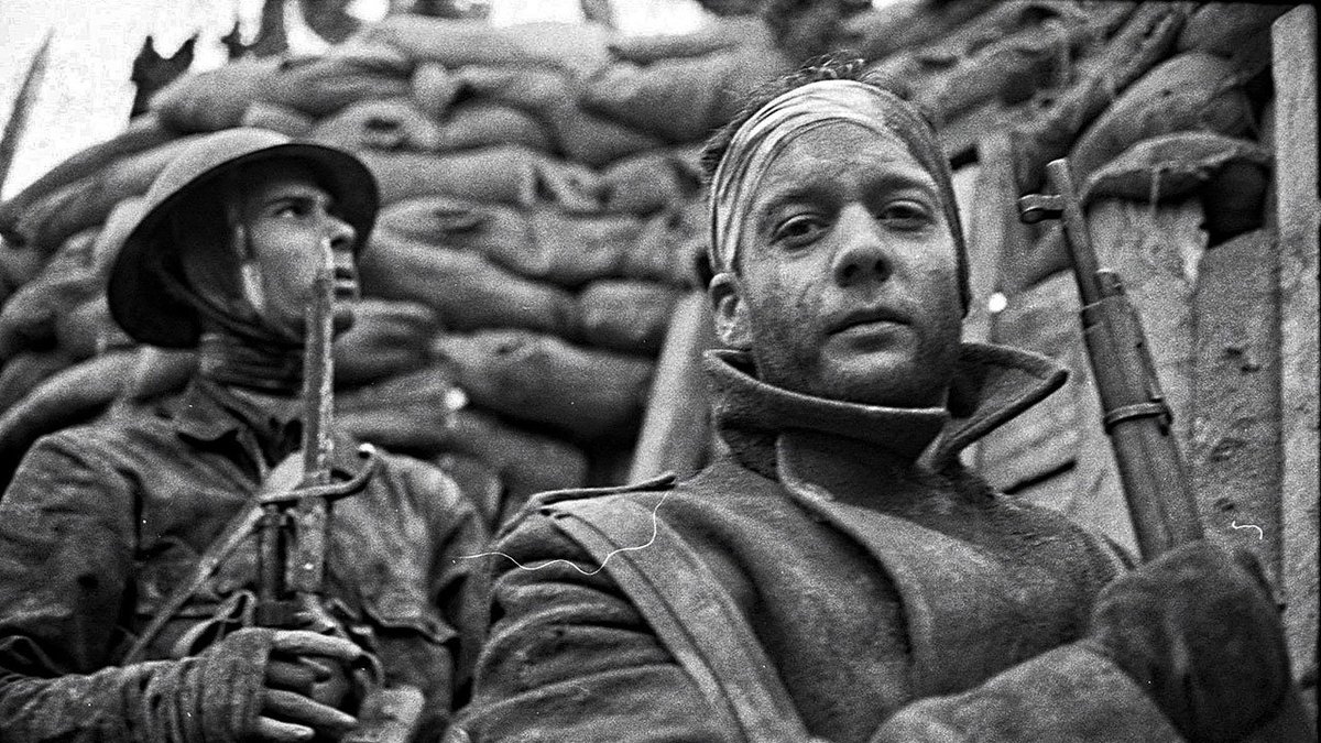 XRMust 💫 tweet media