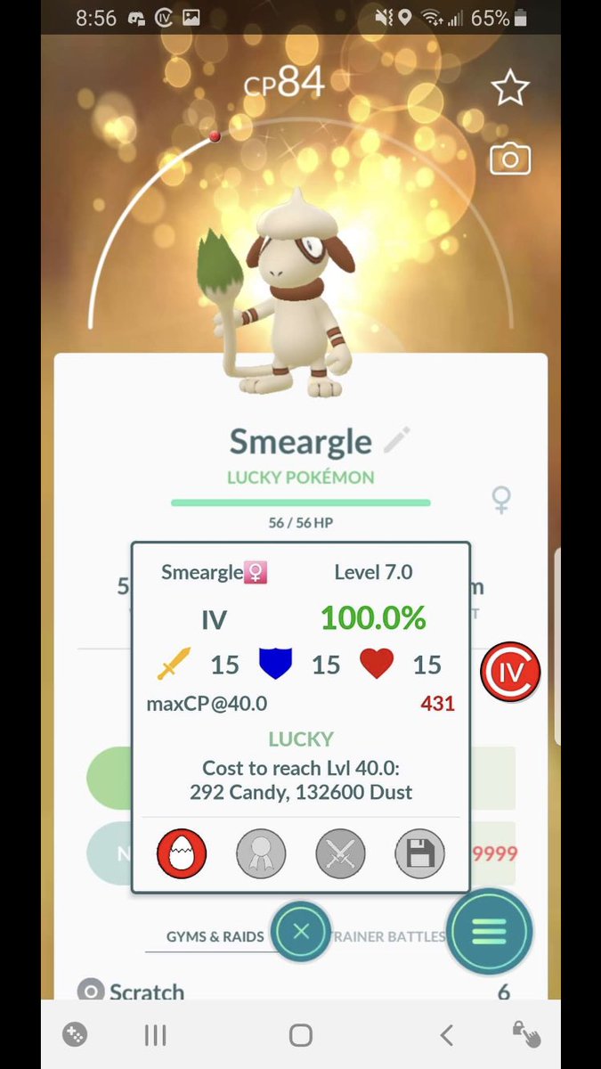 ValorElite's tweet photo. Congrats to one of my close friends Grim! (No Twitter to tag) He asked me to save Smeargle to trade for luckies and the first lucky was a hundo! 👀 https://t.co/TYG6Pvp8QS