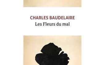 J3 :défiée par <a href="/tchoulelacroix/">Christelle Lacroix</a> je partage mon troisième titre sans commentaires... et invite <a href="/padraigdowney/">Pádraig Downey</a> à faire de même 7jours durant #7jours7couvertures #lire