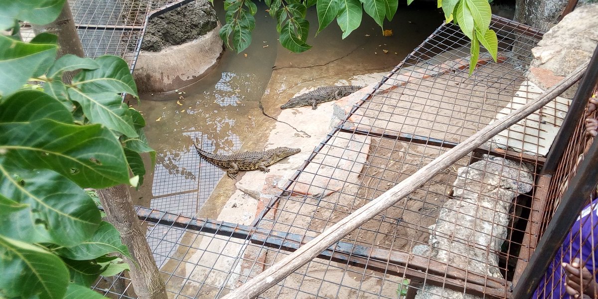 Nataka Joseph tweet media
