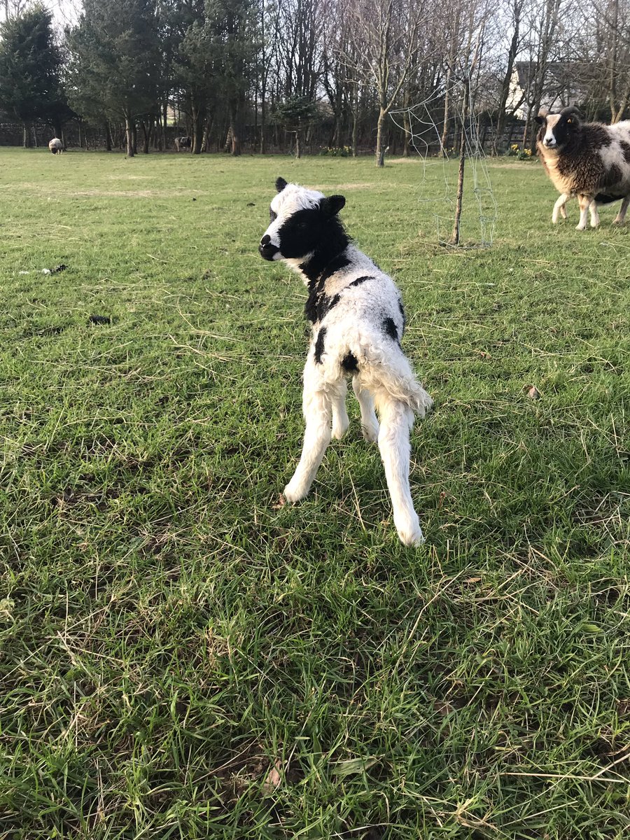 Rigney's Farm tweet media