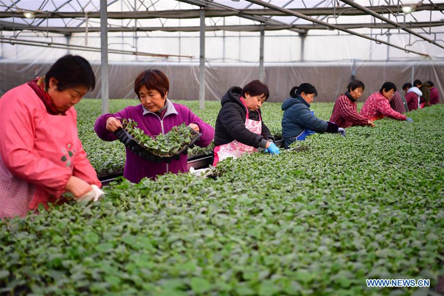 chinaorgcn's tweet photo. Spring agricultural work starts in NW China's Shaanxi.
https://t.co/F7asJdYare https://t.co/sOWZaK5uqI