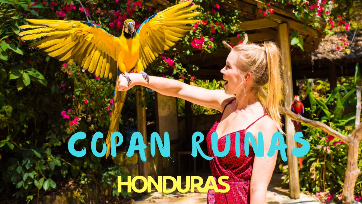 New vlog! Copan Ruinas, Honduras..featuring @MacawMountain & more! @ChooseHonduras #Honduras