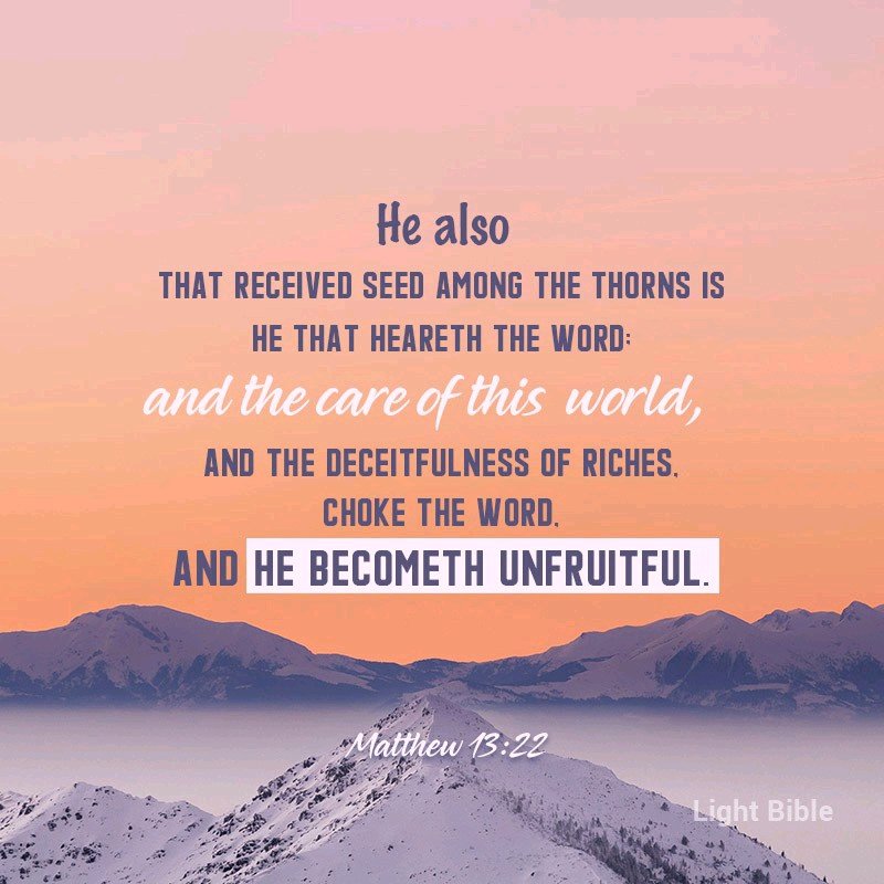 Judy Fitzgerald’s pics and videos