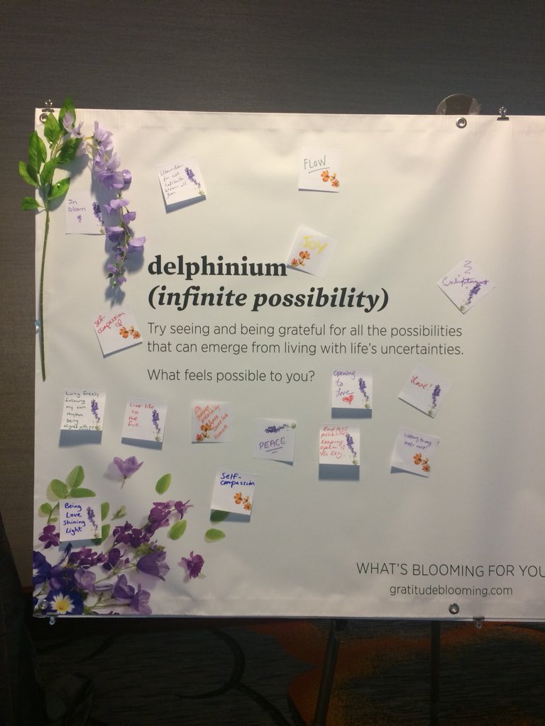 GratitudeBloom's tweet image. Come get your gratitude fix outside the Practice Lounge! We’ve got collective gratitude gardens we’re creating together, space to choose your own nature inspired message and a photo booth to share your gratitude with the world! #wisdom2 #wisdom2conf #gratitudeblooming