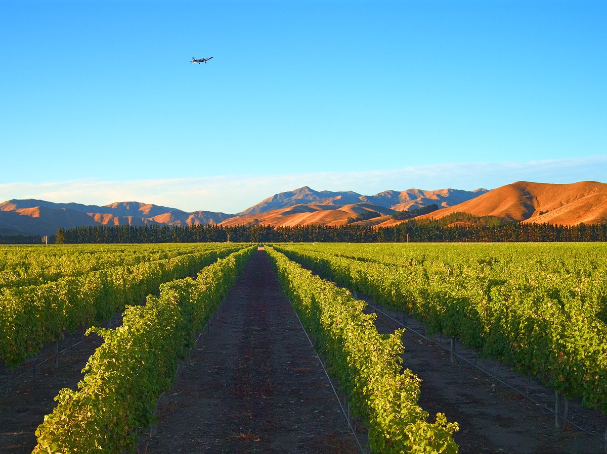 New Zealand Wine Europe (@nzwineeurope) on Twitter photo Last but not least, our wineries who are presenting wines from #Marlborough at <a href="/ProWein/">ProWein</a> 2019.
From A to H:
<a href="/astrolabewines/">Astrolabe Wines</a>
<a href="/joiynz/">JOIY Wines</a>
<a href="/blankcanvaswine/">Blank Canvas Wines | New Zealand</a>
<a href="/clarkestatewine/">Clark Estate</a>
<a href="/CloudyBay/">Cloudy Bay</a>
<a href="/CoopersCreekNZ/">Coopers Creek</a>
<a href="/CraggyRange/">Craggy Range</a>
<a href="/GiesenWines/">Giesen Wines</a>
<a href="/hahawine/">hahawine</a>
@huia_vineyards
#tobecontinued #Hall9StandE36 Last but not least, our wineries who are presenting wines from #Marlborough at <a href="/ProWein/">ProWein</a> 2019.
From A to H:
<a href="/astrolabewines/">Astrolabe Wines</a>
<a href="/joiynz/">JOIY Wines</a>
<a href="/blankcanvaswine/">Blank Canvas Wines | New Zealand</a>
<a href="/clarkestatewine/">Clark Estate</a>
<a href="/CloudyBay/">Cloudy Bay</a>
<a href="/CoopersCreekNZ/">Coopers Creek</a>
<a href="/CraggyRange/">Craggy Range</a>
<a href="/GiesenWines/">Giesen Wines</a>
<a href="/hahawine/">hahawine</a>
@huia_vineyards
#tobecontinued #Hall9StandE36