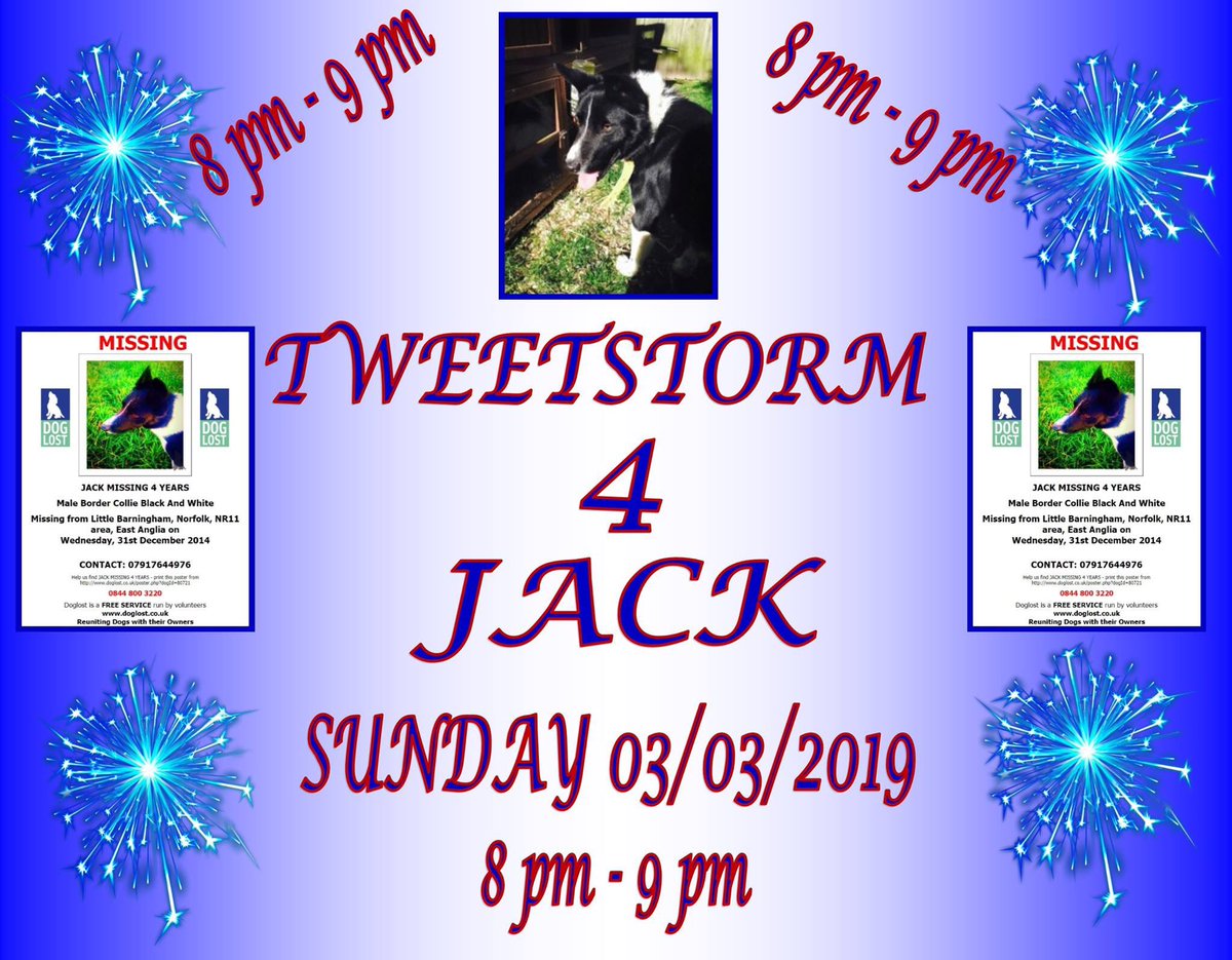 rosiedoc666's tweet photo. JACK has been #missing 4yr 31/12/14 he was SPOOKED by #Fireworks & bolted, he was never seen again #LittleBarningham #Norfolk At NEW YEAR we saw on the #doglost link 'there's been a part of me gone since I've not had him by my side' LETS TRY & FIND HIM
https://t.co/trRw2pArQm https://t.co/d0s24NynL9