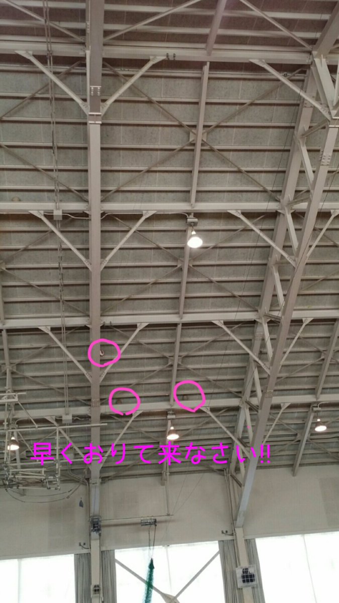 なぜそこにボール