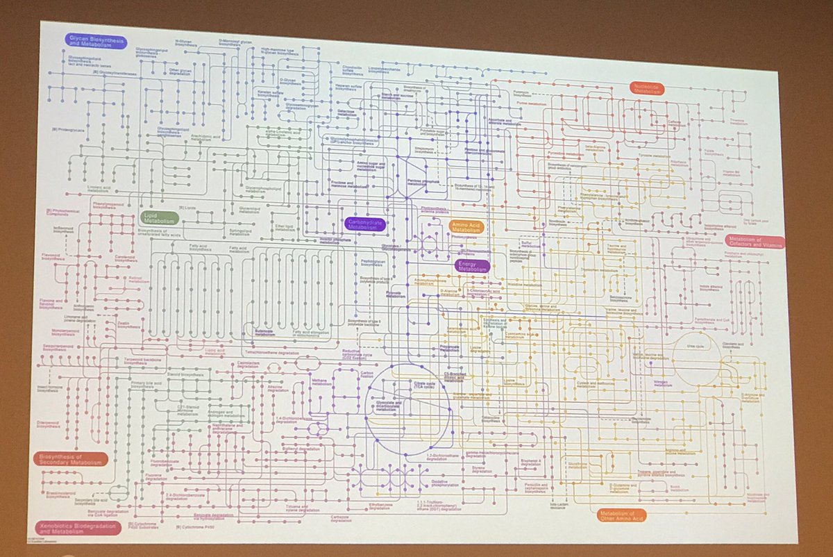 Super tutorial from @DrBSteamjets to round off the morning. What really limits performance? Any guesses on what this complex process is? Hint many people claim theirs is slow!! #NutritionUpdate #CPD #ScienceToPractice