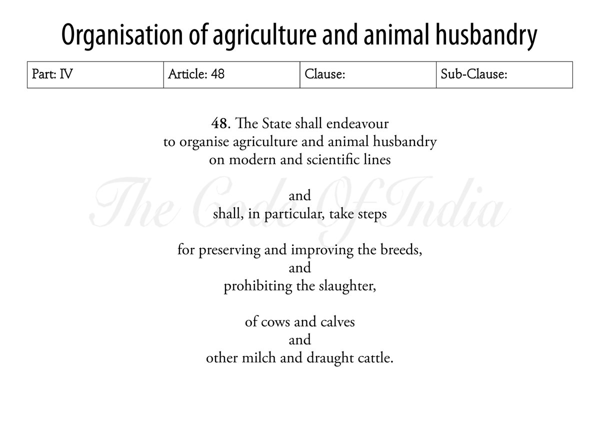 Organisation of agriculture and animal husbandry #Article48 #Agriculture #AnimalHusbandry #Prohibition #CattleSlaughter #CowSlaughter #Part4 #DirectivePrinciplesOfStatePolicy #DPSP #DirectivePrinciples #India #TheConstitutionOfIndia #TheCodeOfIndia