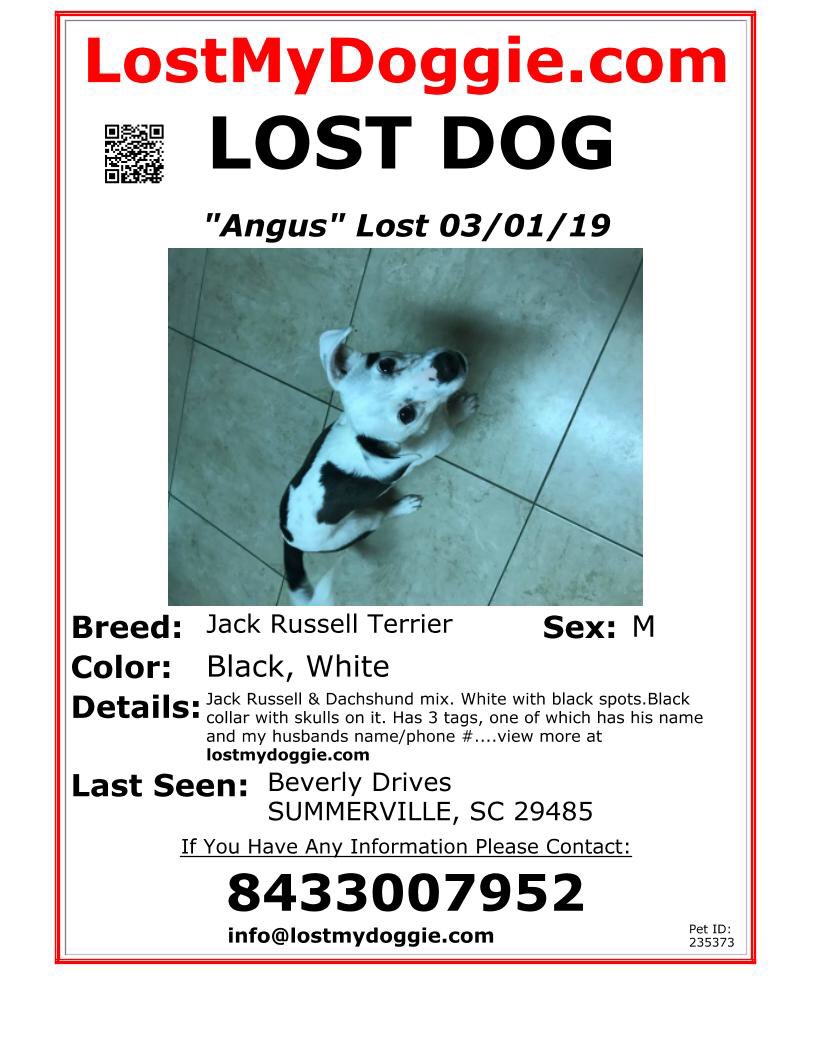 lost dog in #summerville, sc area. dog is a black jack russell terrier lostmydoggie.com/details.cfm?pe… #LostPets #MissingPets #LostDog @LostMyDoggie #chs