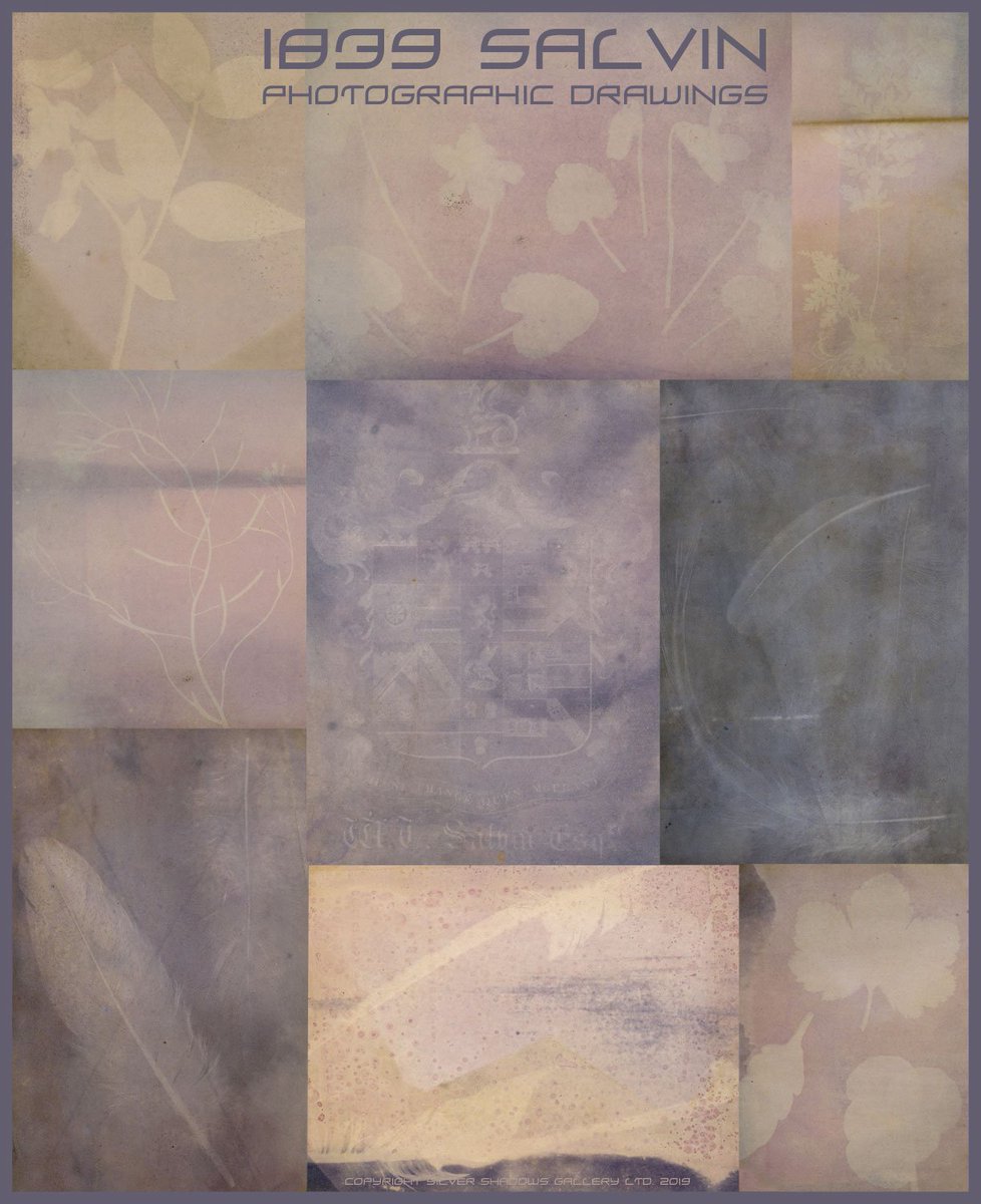LondonPhotoFair's tweet photo. Just in from a 17th March LPF exhibitor: "Hugely important discovery of some of the earliest extant photographic images: a group of photogenic drawing salted paper prints from mid 1839, the dawn of photography, by a previously unknown experimental artist William Thomas Salvin. https://t.co/WPZ6BdSHNn