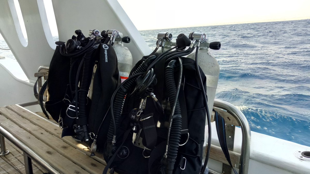 tec_instructor's tweet image. Can&apos;t stop love you scuba diving 
Our trip to the south #RedSea
#techdive
#scuba 
#scubadiving 
#Egypt 🇪🇬🇪🇬
#scubadive 
#apeksdive
@apeksdiving 
Thank you for scuba diving with
@PetrelAcademy