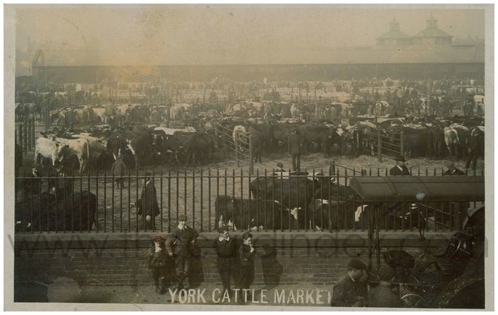 The Card Index York tweet media