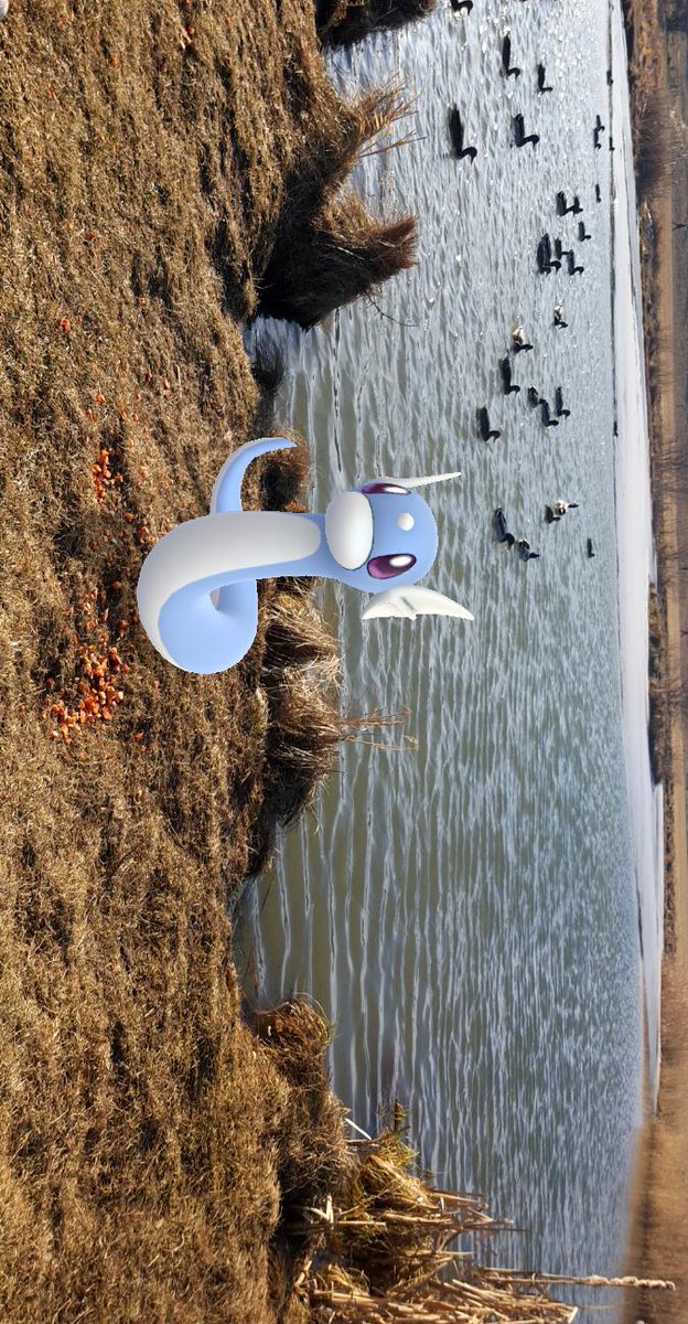 MariaTria1425's tweet photo. @PokemonGoApp https://t.co/8XuRdpjkLH