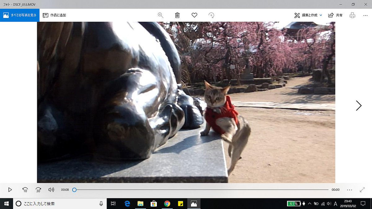 岸田 على تويتر Windows10の フォト 映像が急に変わった部分がサムネイル表示されるっぽいw