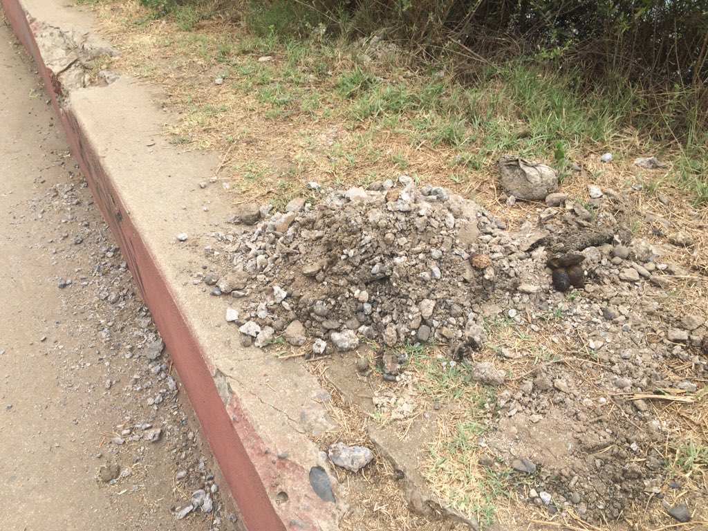 maxmorenogrez tweet media