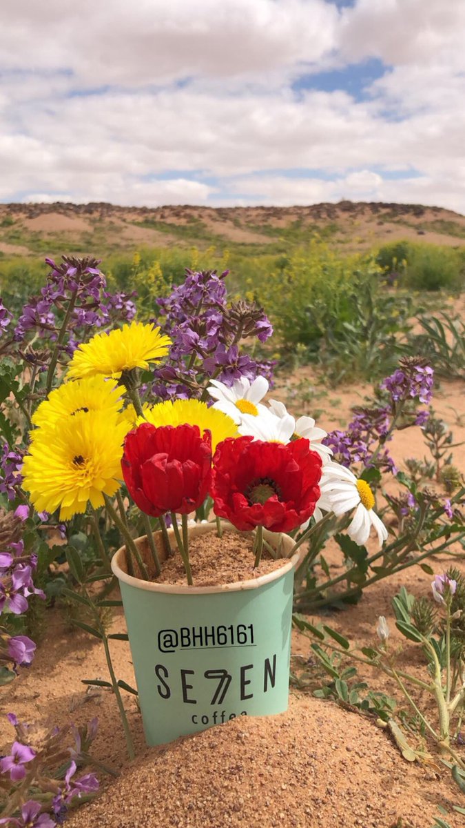 bhh6161's tweet photo. #تصويري
#ربيع_الجوف 
#ربيع_عرعر 
#الديدحان
 #ربيع_الحدود_الشماليه https://t.co/r0omG39l1l