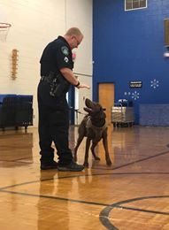 NewportNewsPD's tweet photo. The #NNPDK9Unit stopped by Watkins Early Childhood Center earlier this week for a K-9 demonstration. The students got to see the K9s show off their apprehension, tracking, and obedience skills and even got to meet and pet K9 PJ! It was a good day 🐾 https://t.co/PHazjT5hN2