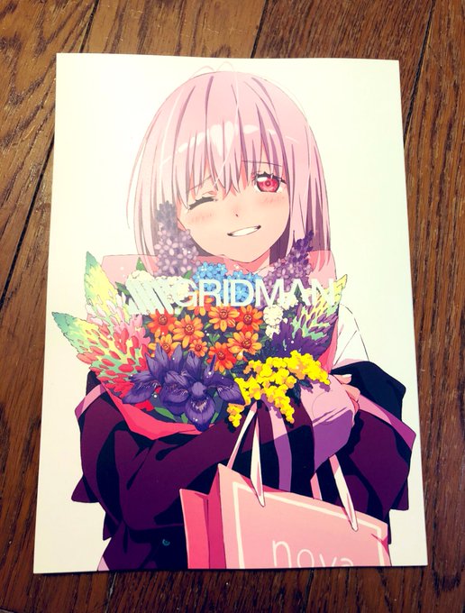 頼んでたものが届きました。
買ってよかった。
#SSSS_GRIDMAN 