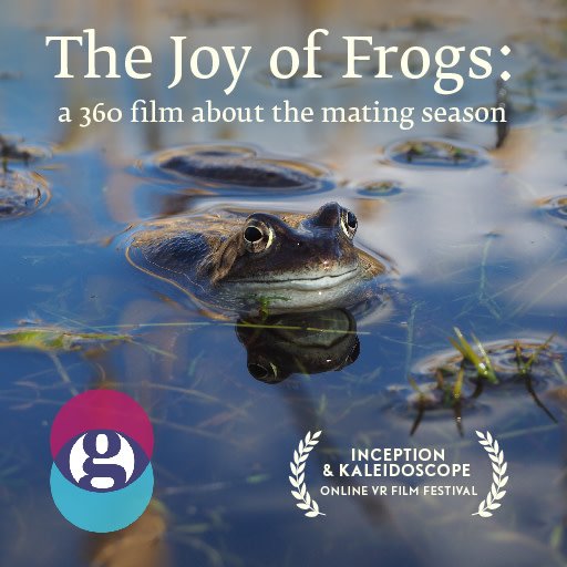 Explore the busy frog mating season from a unique perspective on Inception in 'The Joy of Frogs' from The Guardian