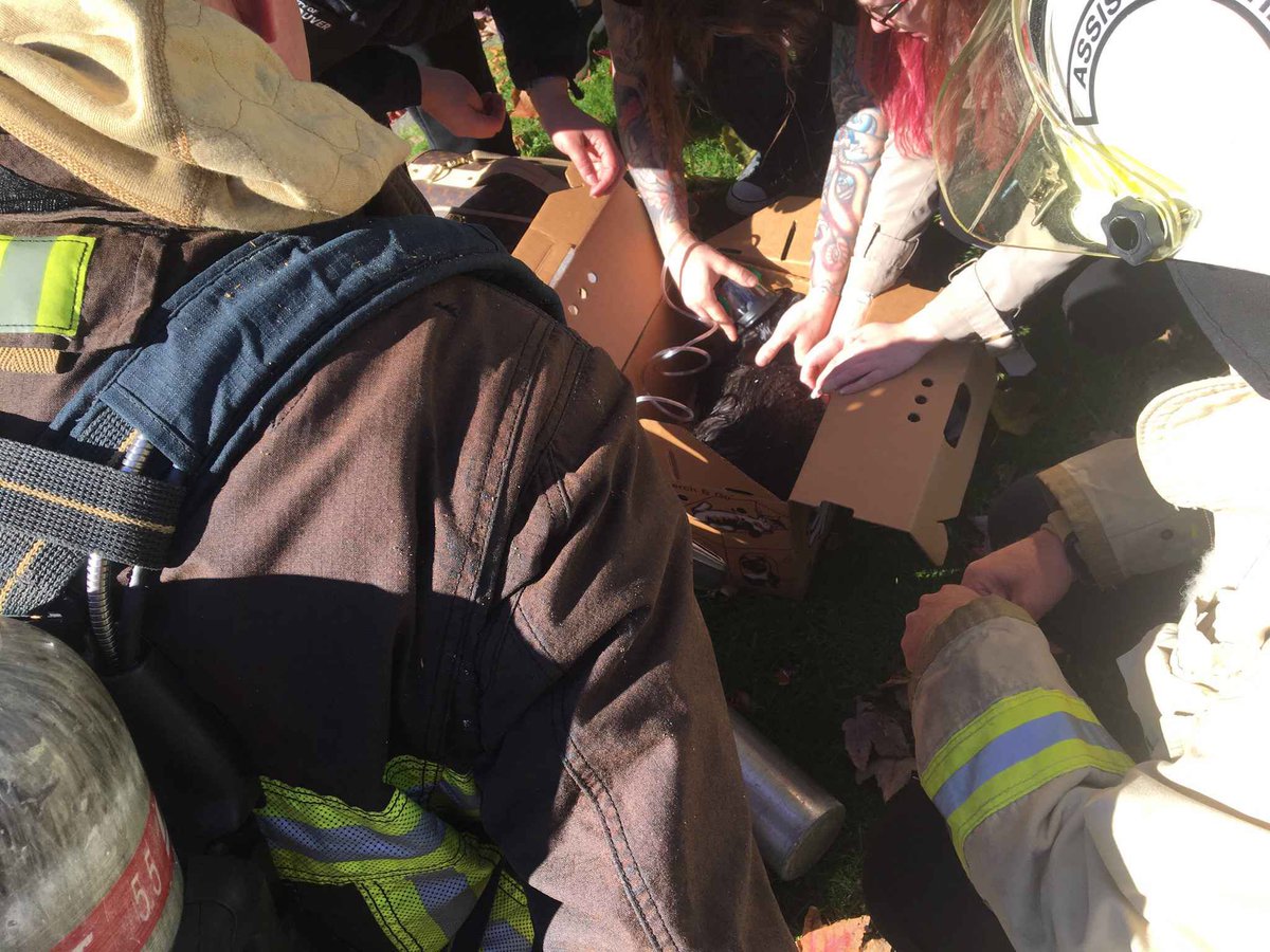 Look closely-can you see her?

In honour of #Caturday here’s <a href="/VanFireRescue/">Vancouver Fire Rescue Services</a> crews using #VFRS pet resuscitation equipment to treat a cat we’ve rescued from a fire! 

#VancouverFire is here for ALL your loved ones!

#CatsOfTwitter 
<a href="/IAFF18/">Van Fire Fighters</a>