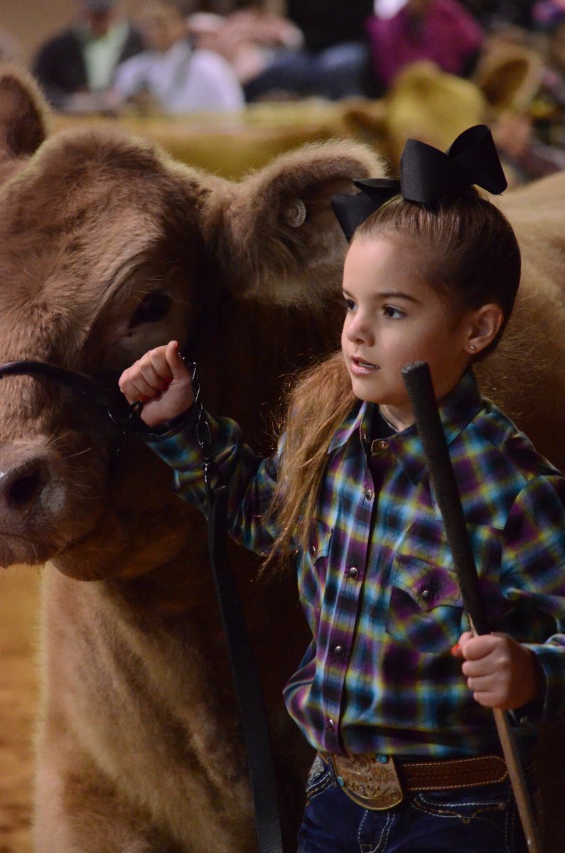 SpeedriteFence's tweet photo. Good luck to all those exhibiting at the @RodeoHouston stock show! https://t.co/YnqRaWjNPt