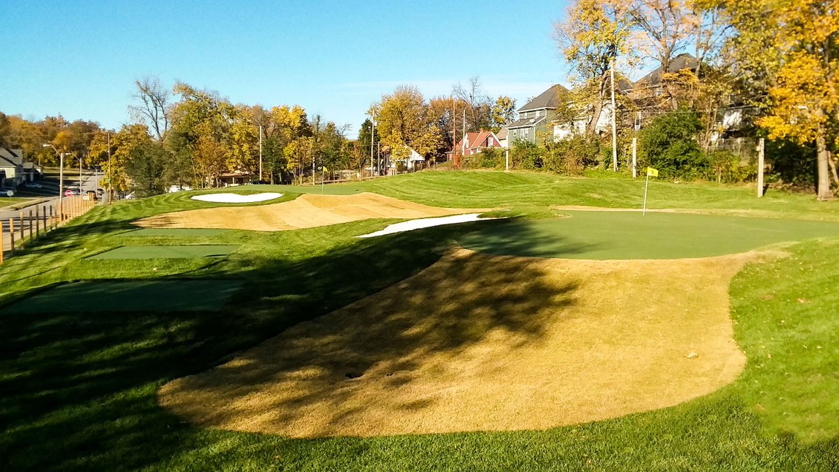 ASGCA Home Offices tweet media