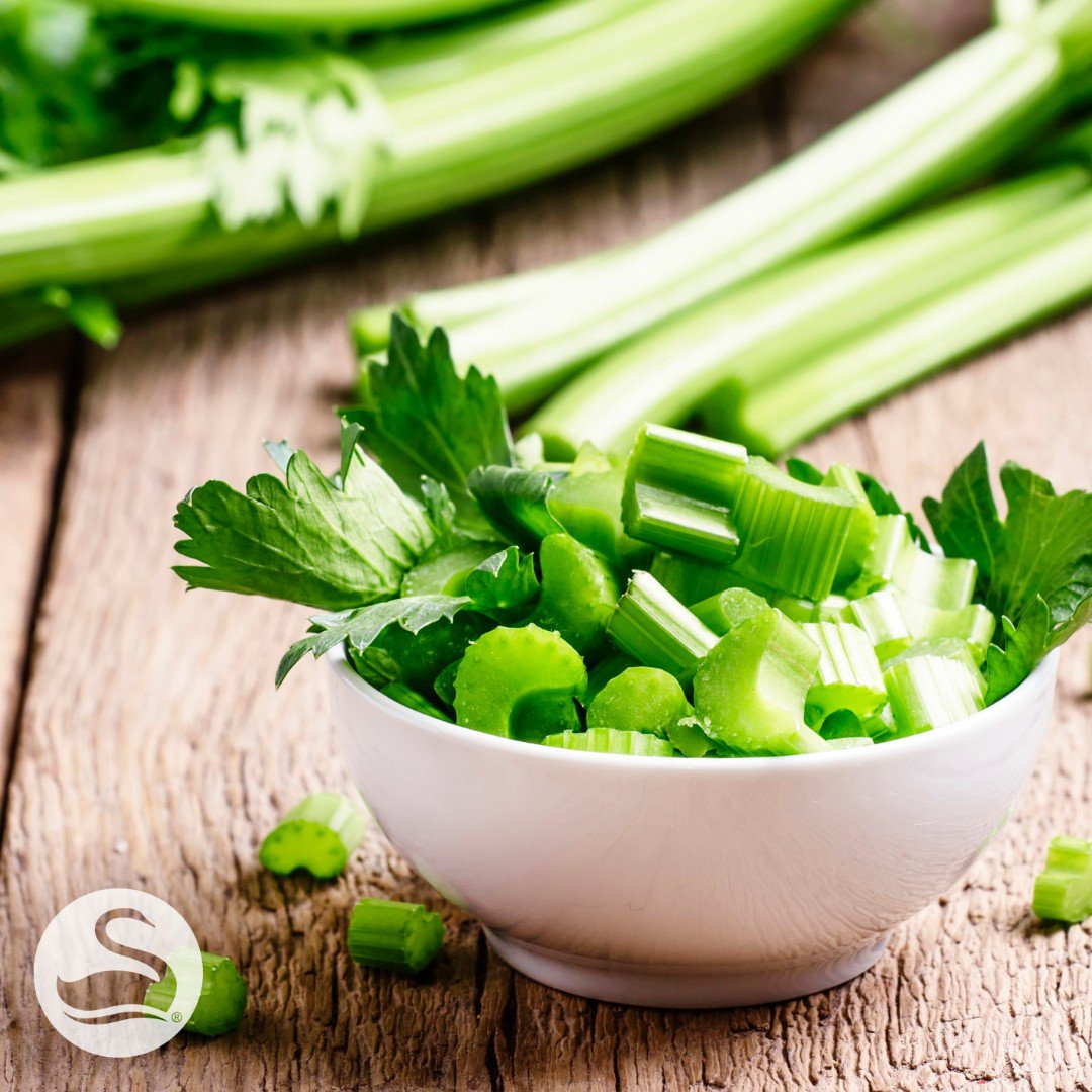 swanhose's tweet photo. March is National Celery Month! Celery-brate by using the stalks, seeds & leaves in your meals & snacks this month. They’re all edible and rich in nutrients. #swanhose #gardenhose #wateringhose #celery #ilovecelery #monthofthecelery #nationalcelerymonth #celerystalk #celerysnack https://t.co/tFkEJjUlp7