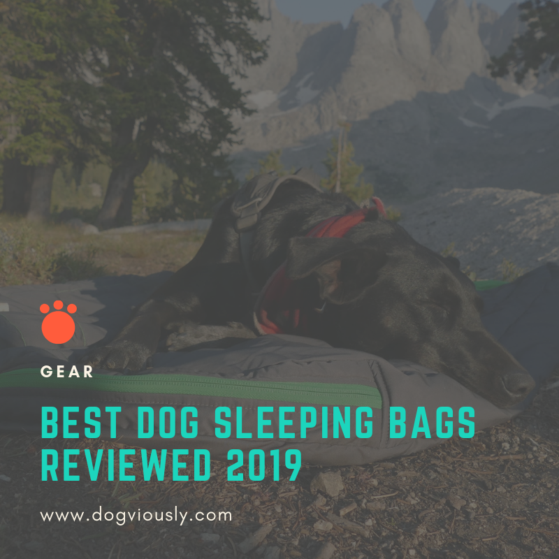 dogviously's tweet image. Dogs love exploring outside with their people, so camping should be a favorite activity for every dog. Discover the best dog sleeping bags on our website. 
goo.gl/3ddgGu