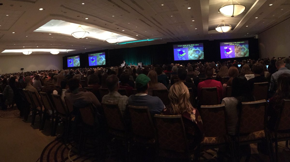 mikesara444's tweet image. Dr. Wolfe #HSS demystifying Complex Carpal kinematics #SLIL #LTIL Extrinsic vs Intrinsic Ligaments  #Handrehab2019