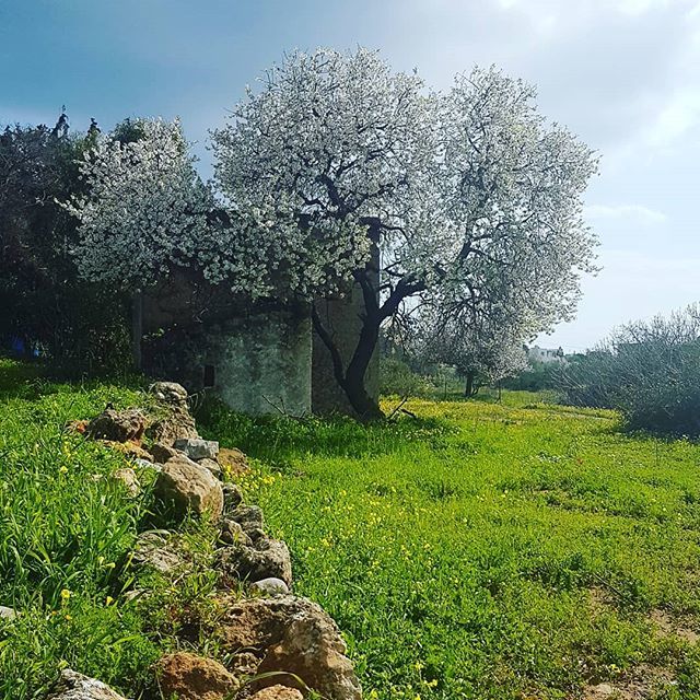 Hashtag Mypefkos Sur Twitter