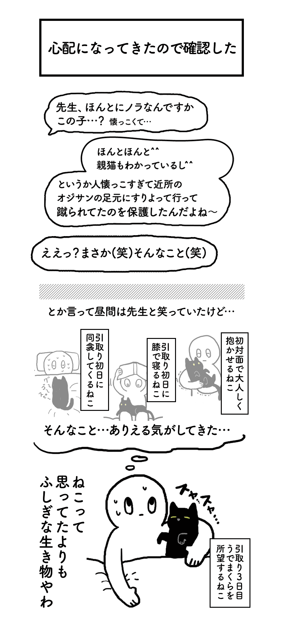 Akr 7 16 金 巻発売 على تويتر はじめてねこ飼ったときの初々しい気持ちを思い出した T Co Vocgbh5gsd تويتر
