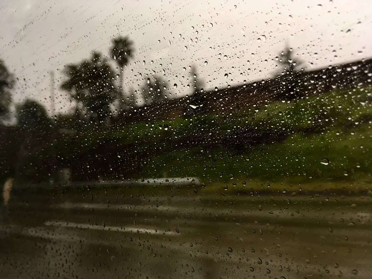 bydestinations's tweet photo. Rainy morning in Los Angeles today 🌧 https://t.co/Kx59t8FHZ2