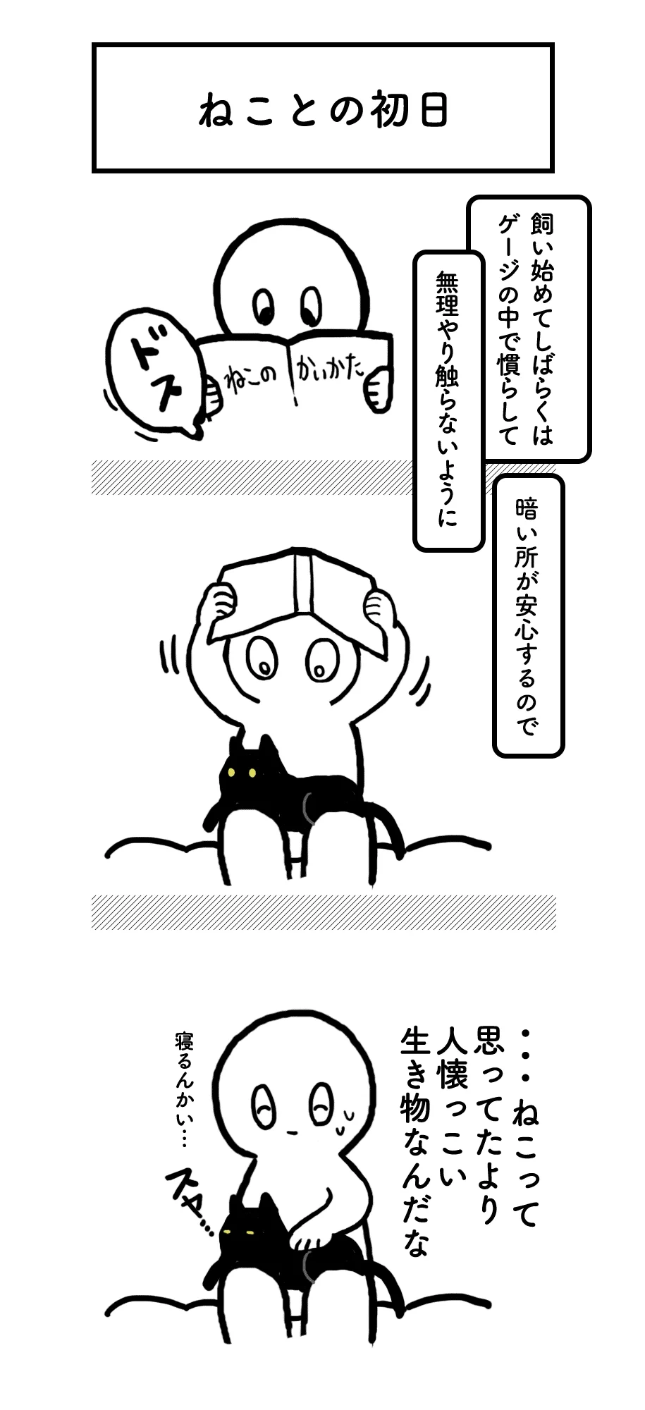 初めて猫を飼ったときの初々しい気持ちを思い出したｗｗｗ猫ってふしぎな生きものｗｗｗ