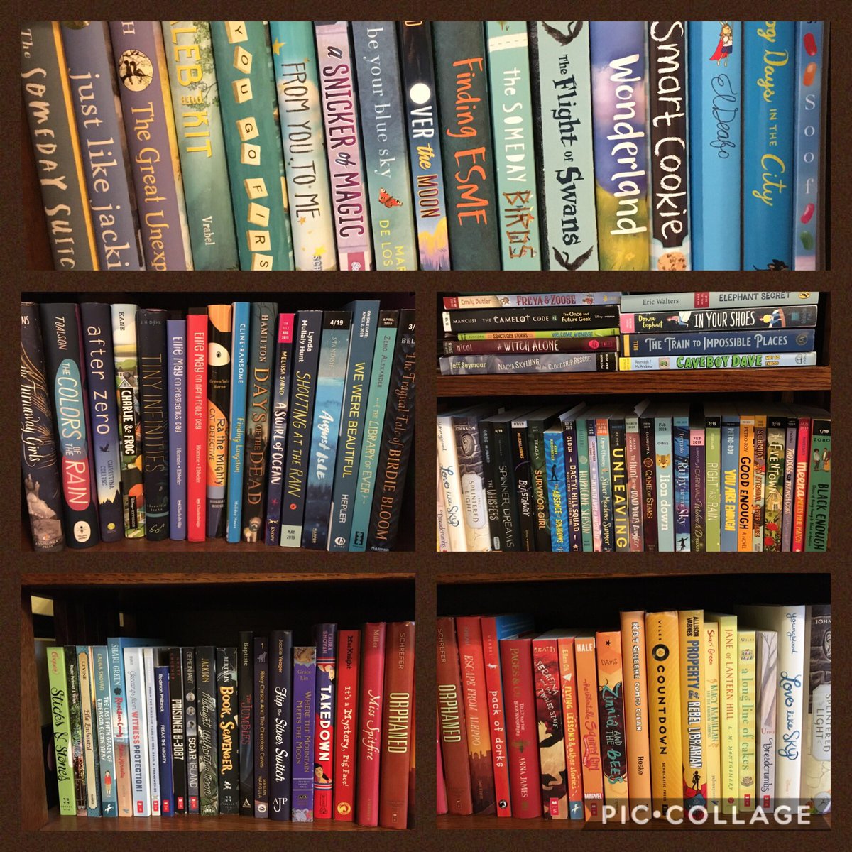 SawyersShari's tweet photo. #MGBookMarch Day 2: share a “shelfie” - this looks manageable, right? I’m working to get these most of these OFF my shelf and into hands of kids and #booksojourn friends!  #iwanttoreadthemall #readallthebooks https://t.co/Q9xGfATTe0