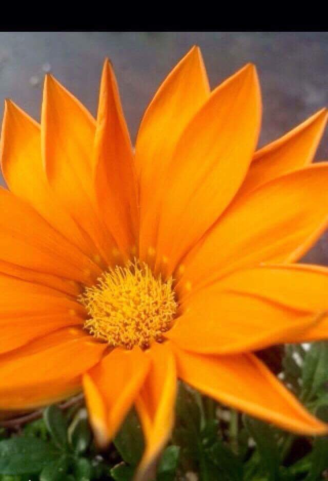 Linda Johnson@ Perilin Creations tweet media