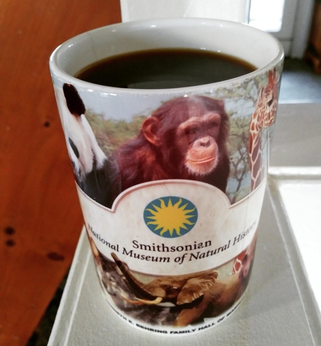 Howard_Coffee's tweet photo. Today's #coffee: Costa Rica Tarrazu La Minita Estate. Tastes like treating yourself to a few extra minutes in the shower just because. #HowardCoffee #Portland #pdxcoffee #coffeeroaster #coffeetwitter

Today's cup: @Smithsonian National #Museum of Natural #History. @NMNH https://t.co/en255DJczg